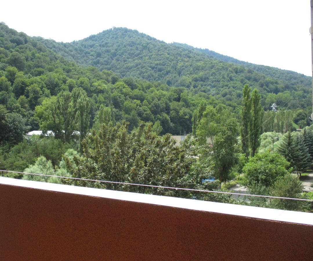 Dilijan Nice View Apartment Ngoại thất bức ảnh